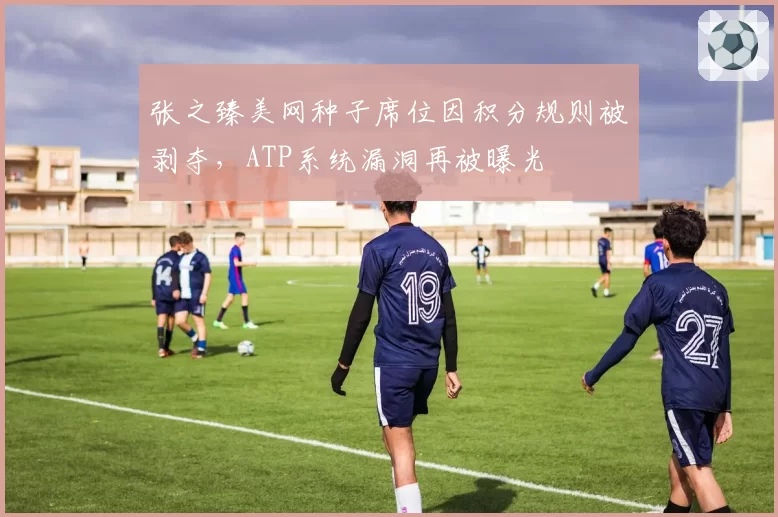 张之臻美网种子席位因积分规则被剥夺，ATP系统漏洞再被曝光