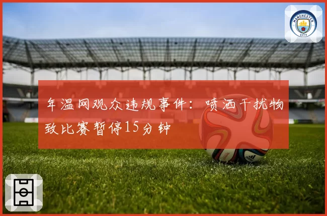 年温网观众违规事件：喷洒干扰物致比赛暂停15分钟