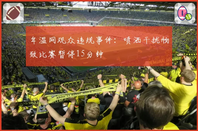 年温网观众违规事件：喷洒干扰物致比赛暂停15分钟